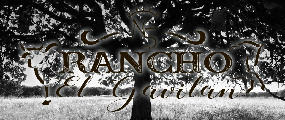 alumawood patio covers decks canvas awings in Moreno Valley Menifee CA